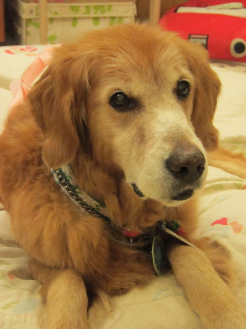 ファイル 2683-5.jpg