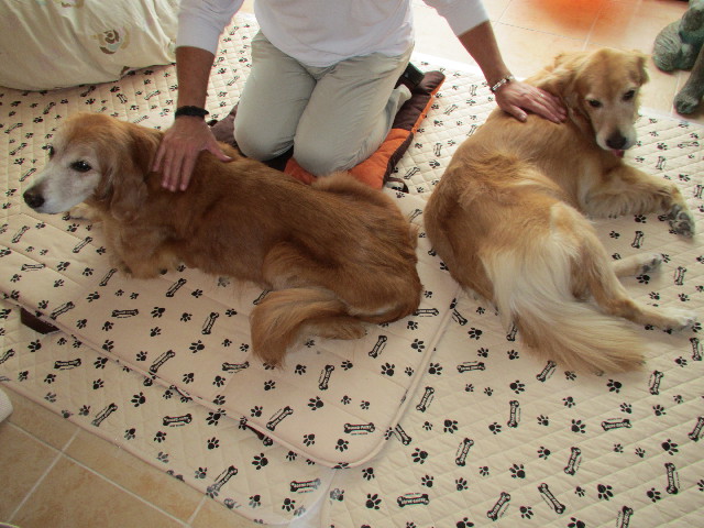 ファイル 2684-3.jpg