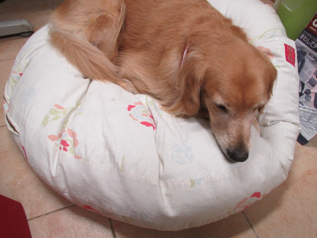 ファイル 2684-5.jpg