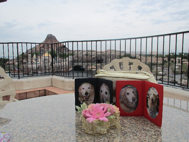 ファイル 2689-1.jpg