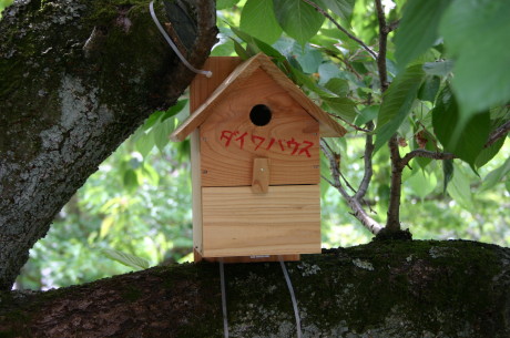 ファイル 269-1.jpg