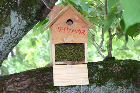 ファイル 269-2.jpg