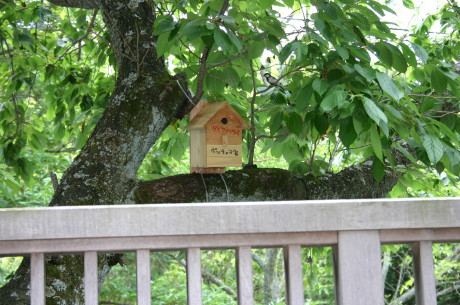 ファイル 269-3.jpg