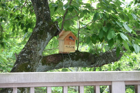 ファイル 269-5.jpg