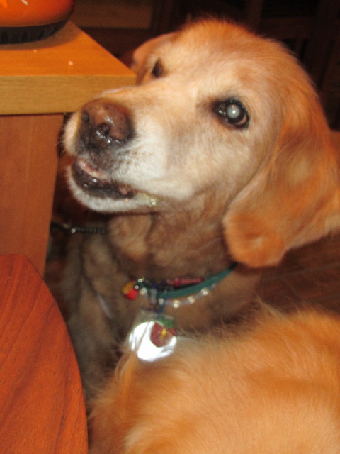 ファイル 2690-3.jpg