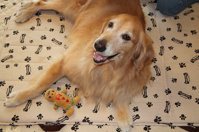 ファイル 2692-4.jpg