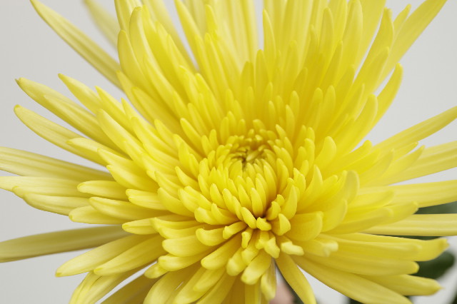 ファイル 2693-3.jpg