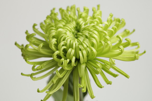 ファイル 2693-4.jpg