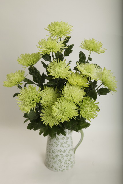 ファイル 2693-5.jpg