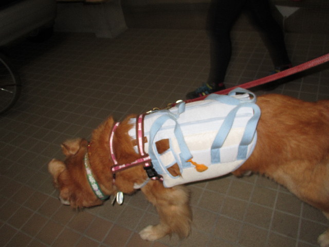 ファイル 2694-5.jpg