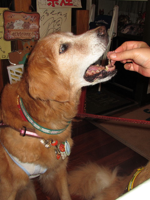 ファイル 2695-3.jpg