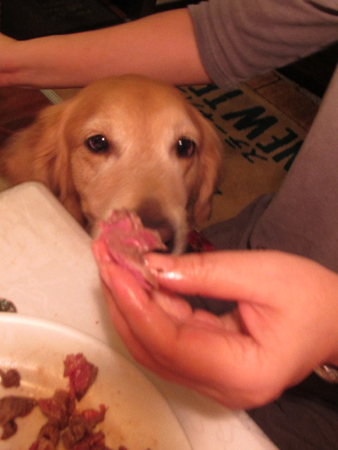 ファイル 2695-4.jpg