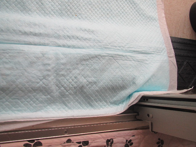 ファイル 2698-3.jpg