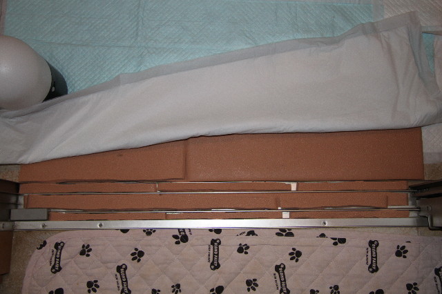 ファイル 2698-4.jpg