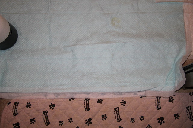 ファイル 2698-5.jpg