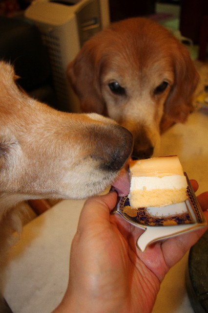 ファイル 2699-2.jpg