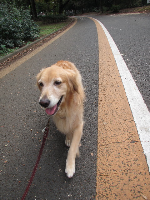 ファイル 2699-3.jpg