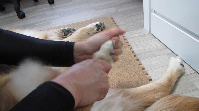 ファイル 2701-4.jpg