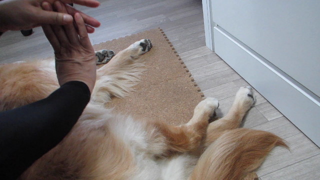 ファイル 2701-5.jpg