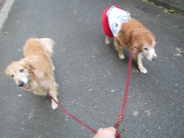 ファイル 2702-5.jpg