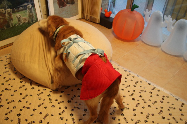 ファイル 2705-1.jpg