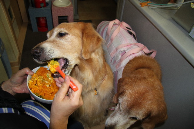 ファイル 2705-4.jpg