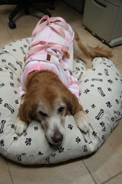 ファイル 2706-4.jpg