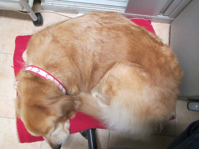 ファイル 2706-5.jpg