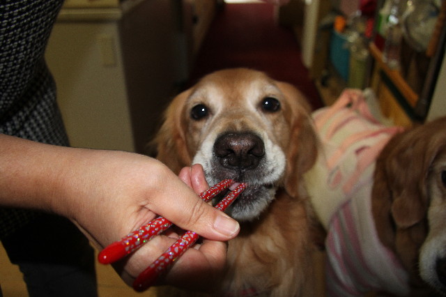 ファイル 2707-5.jpg