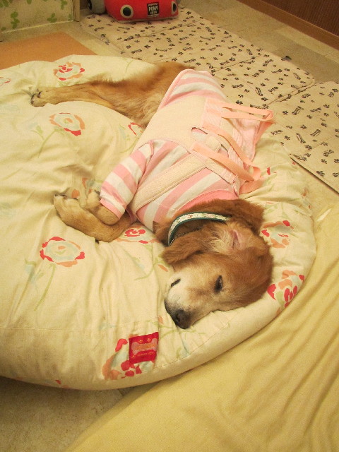 ファイル 2710-2.jpg