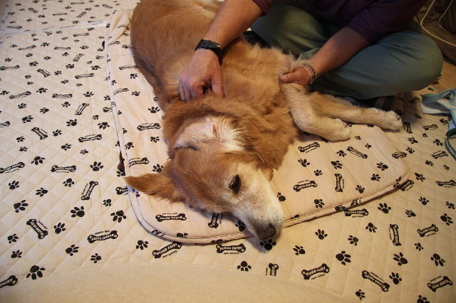 ファイル 2710-5.jpg