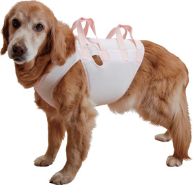 ファイル 2712-2.jpg