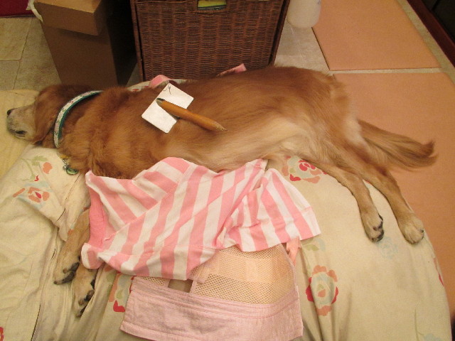 ファイル 2712-5.jpg