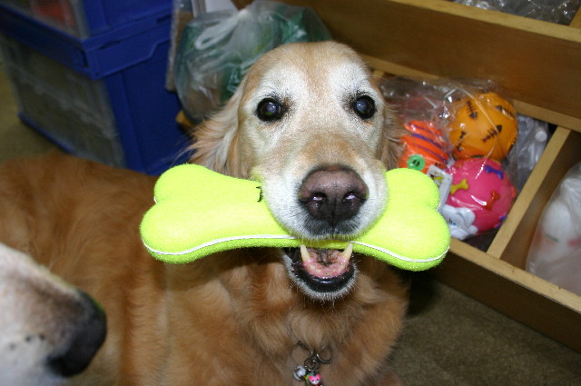 ファイル 2714-1.jpg