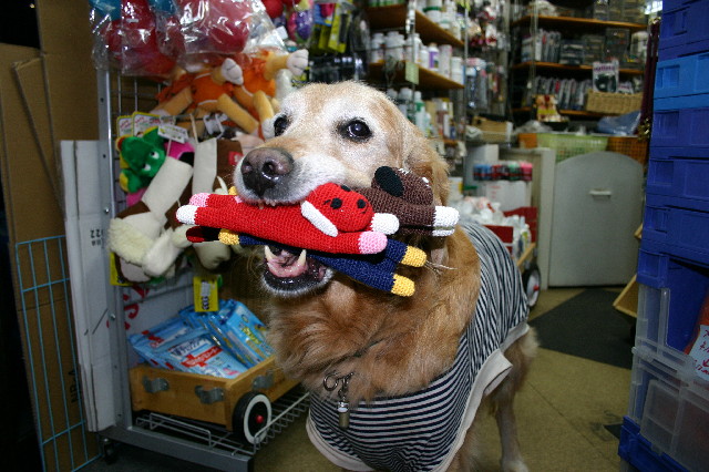 ファイル 2714-2.jpg