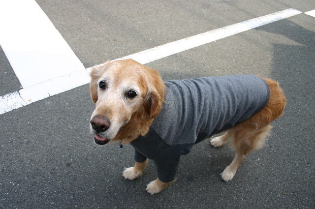 ファイル 2714-3.jpg