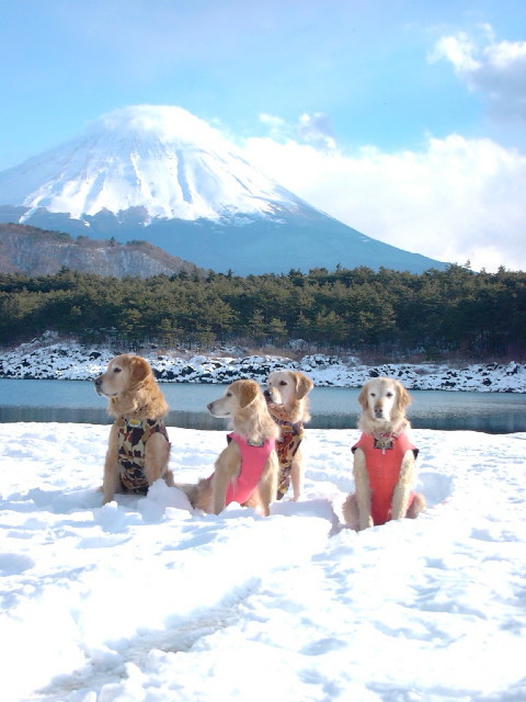 ファイル 2714-4.jpg