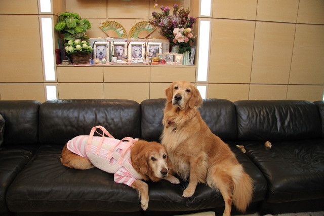 ファイル 2715-1.jpg