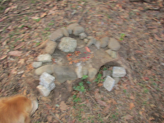 ファイル 2720-4.jpg