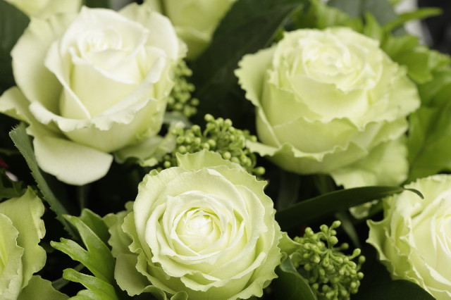 ファイル 2721-2.jpg