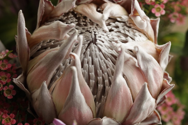 ファイル 2721-4.jpg