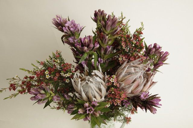 ファイル 2721-5.jpg