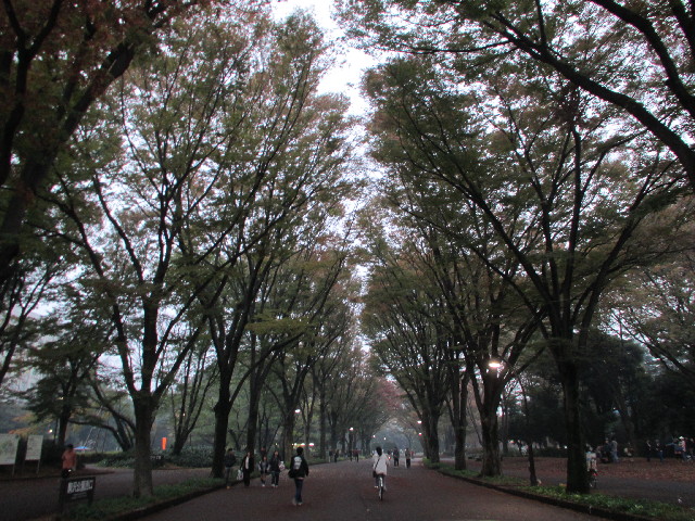 ファイル 2723-4.jpg