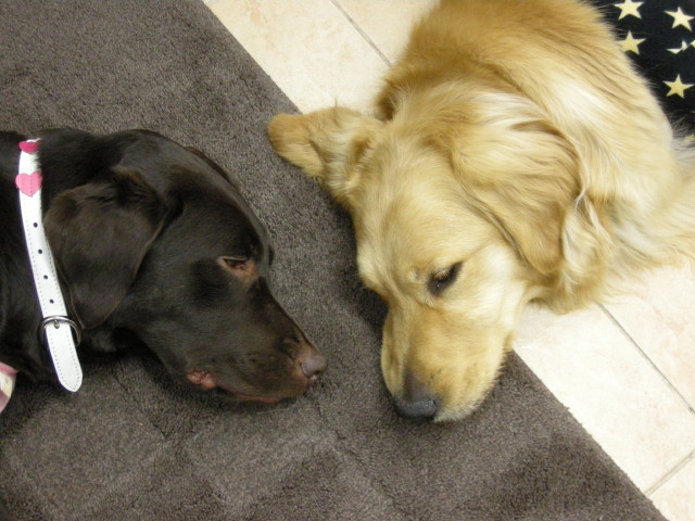 ファイル 273-1.jpg