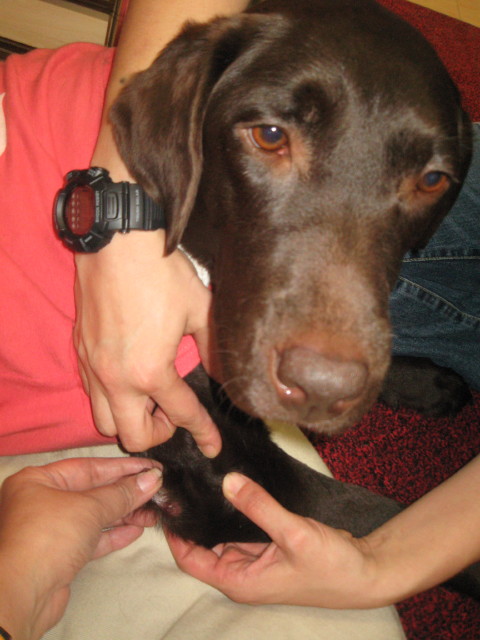 ファイル 273-3.jpg