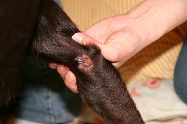 ファイル 273-4.jpg