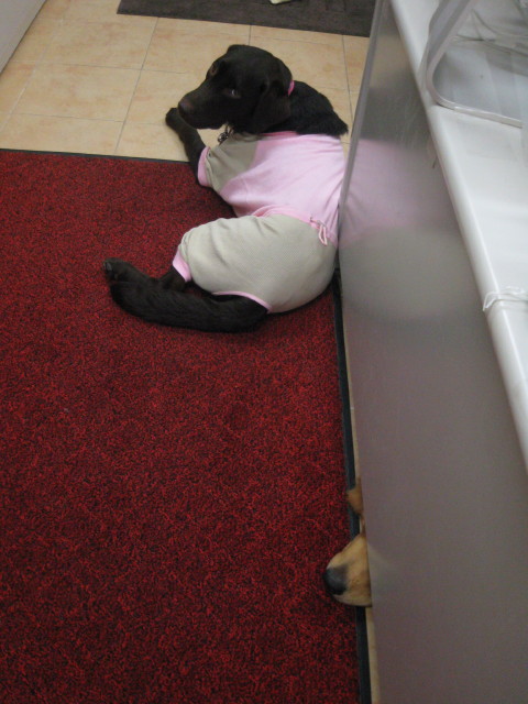 ファイル 273-5.jpg