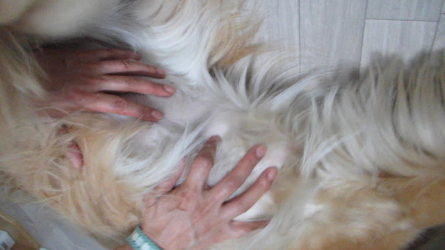 ファイル 2731-5.jpg