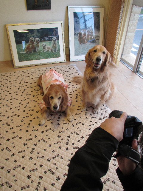 ファイル 2732-2.jpg