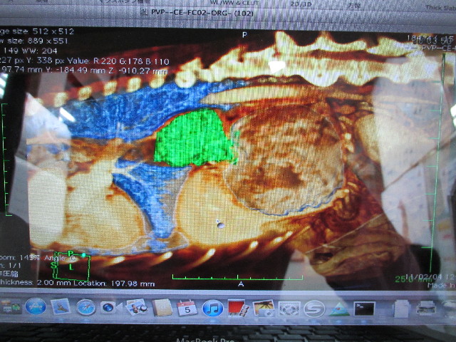 ファイル 2732-3.jpg